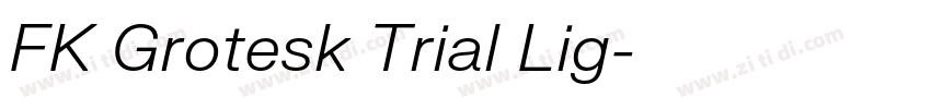 FK Grotesk Trial Lig字体转换